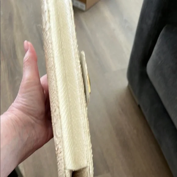 Kara Ross skin Clutch with Gold Hardware - Picture 9 of 14